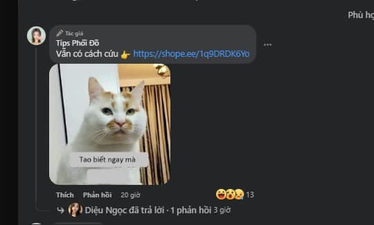 11q7aiq4t6exzaaaaaa.jpg